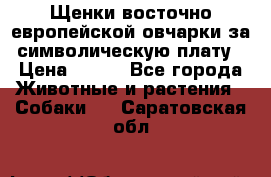 Щенки восточно европейской овчарки за символическую плату › Цена ­ 250 - Все города Животные и растения » Собаки   . Саратовская обл.